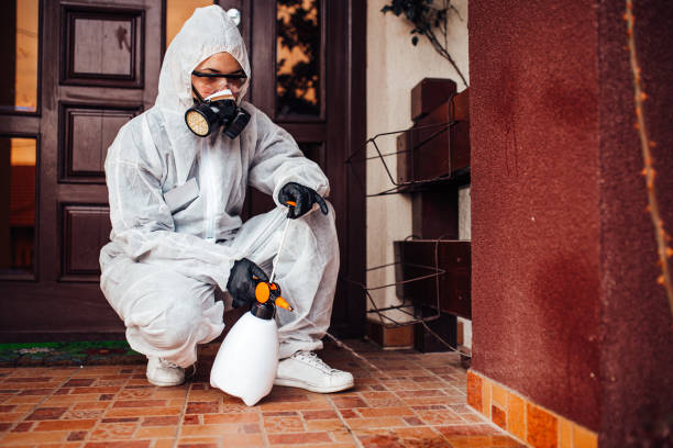 Reliable Cockroach Control contractor in College Park, MD by Nex Pest Control